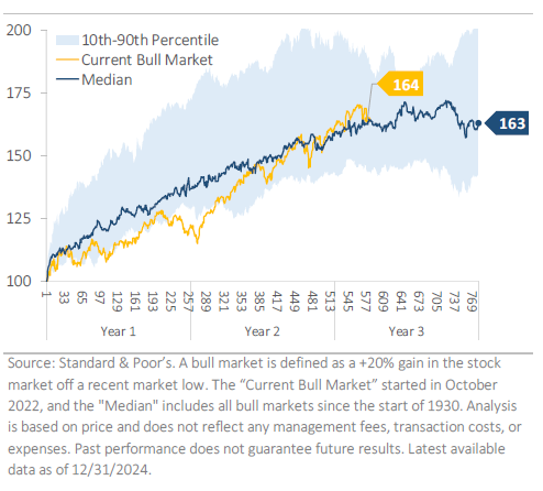 Potential stock market path in 2025
